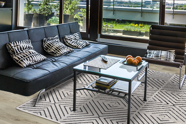 Chevron Quadros